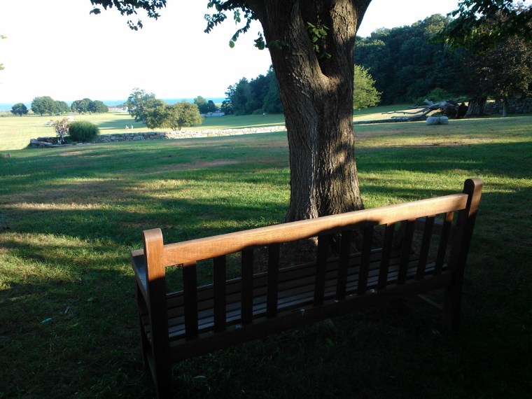 Looking down the Sunken Garden lawn from the ATCA Bench (commemorating the founding of the ATCA here at the O'Neill in 1974) toward the water in the distance. Image by Martha Wade Steketee.